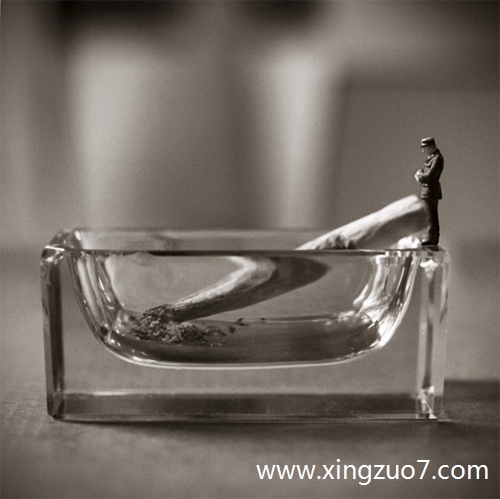 ȵǽ2024.4.294