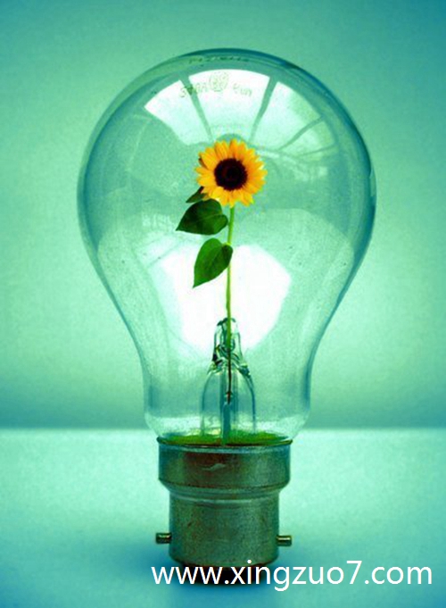 ȵǽ2024.6.302