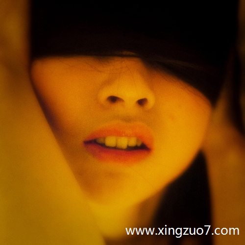 ���ƶ���������2025.11.172