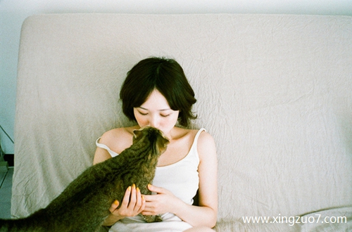 猫石对话今日运势2024.10.22 猫石对话今日运势2024.10.22