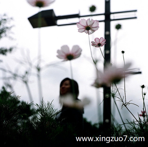 ȵǽ2024.4.272