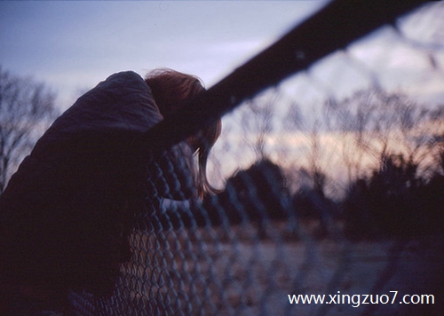 ȵǽ2024.1.184