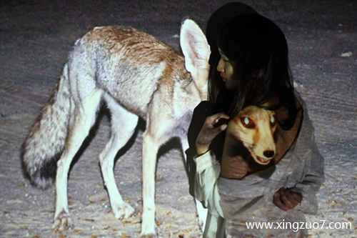 ����俽�������2025.8.72