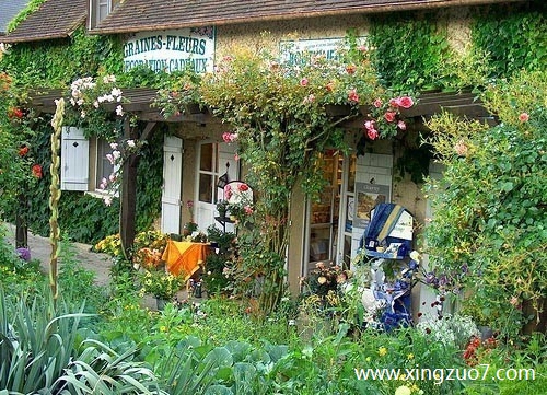 ���½�������2025.4.62