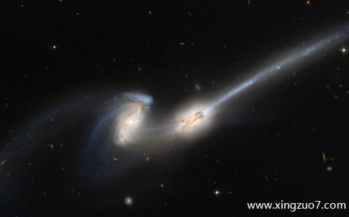 Astro一周星座运势(2024.2.12-2.18)2 Astro一周星座运势(2024.2.12-2.18)2