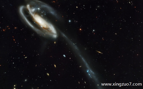 猫石对话一周星座运势(2025.7.7-7.13)4 猫石对话一周星座运势(2025.7.7-7.13)4