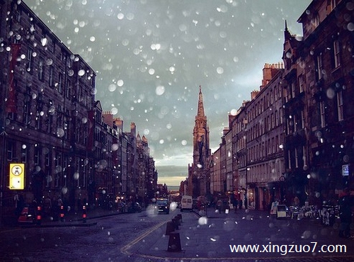 猫石对话今日运势2025.10.44 猫石对话今日运势2025.10.44