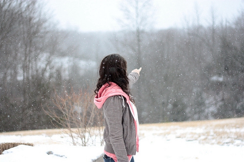 ���ƶ���������2026.2.173