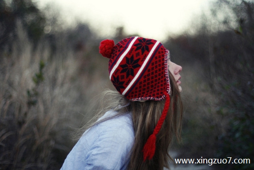 �����޽�������2026.2.283