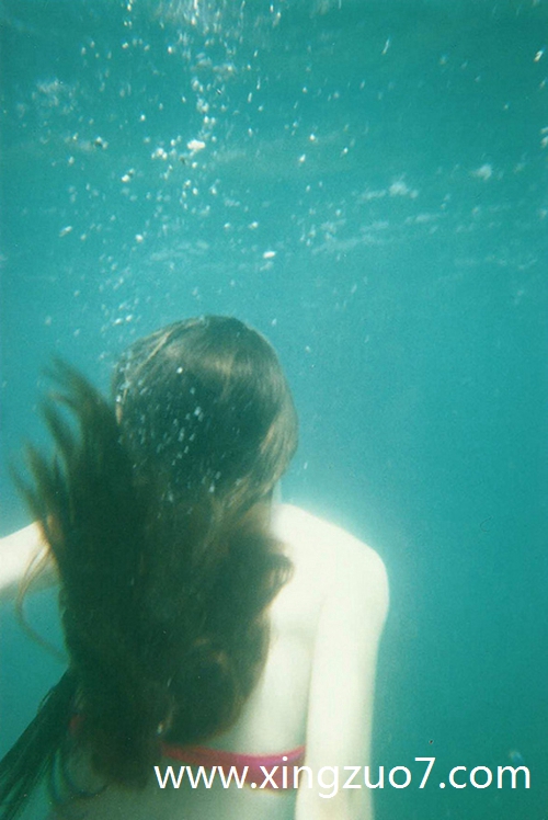 �귨���������2025.1.233