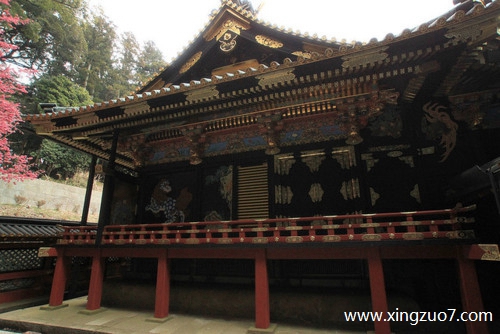 �����޽�������2024.12.82