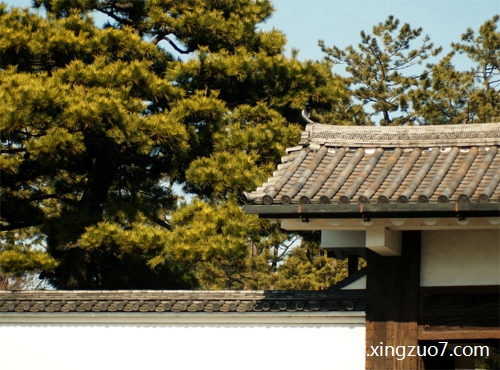 唐立淇今日运势2022.12.251 唐立淇今日运势2022.12.251