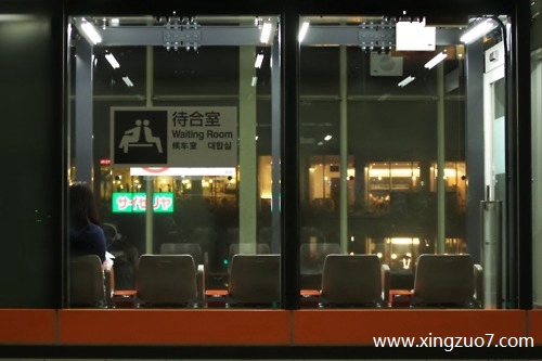 猫石对话今日运势2024.3.131 猫石对话今日运势2024.3.131