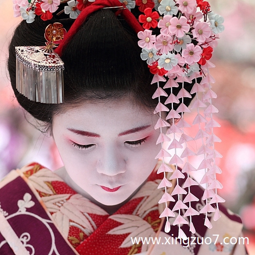 ���ƶ���������2026.2.74