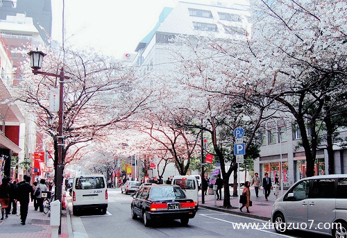 玛法达今日运势2023.1.13 玛法达今日运势2023.1.13