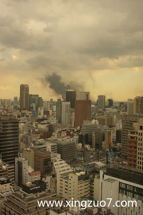 猫石对话今日运势2025.1.82 猫石对话今日运势2025.1.82