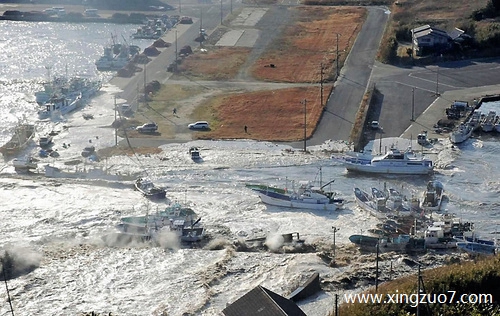 猫石对话今日运势2025.6.51 猫石对话今日运势2025.6.51