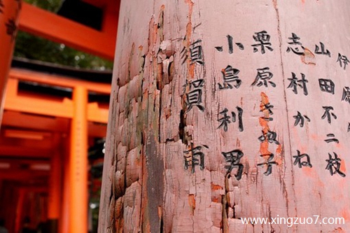귨2024.3.264