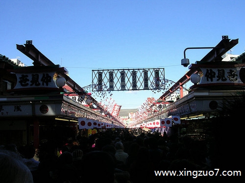 ȵǽ2024.2.54