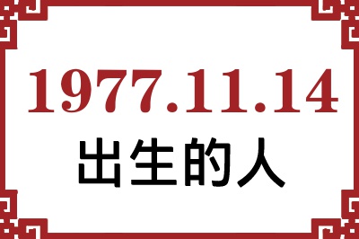 1977年11月14日出生性格、命运和运势 1977年11月14日出生性格、命运和运势