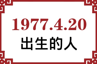 1977年4月20日出生性格、命运和运势 1977年4月20日出生性格、命运和运势