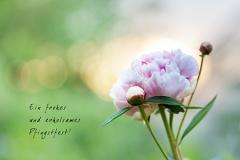 �μ��ܶ���
