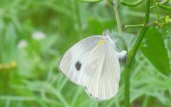 �μ���ײ�