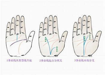 手相解讀事業線與太陽線的影響力